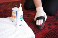 Home Care Cleaning Services 357528 Image 3